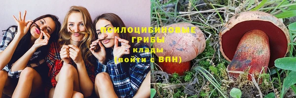 2c-b Богородицк