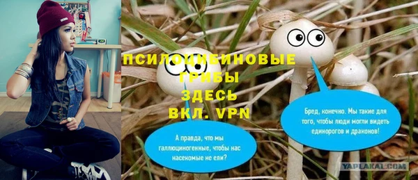 2c-b Богородицк