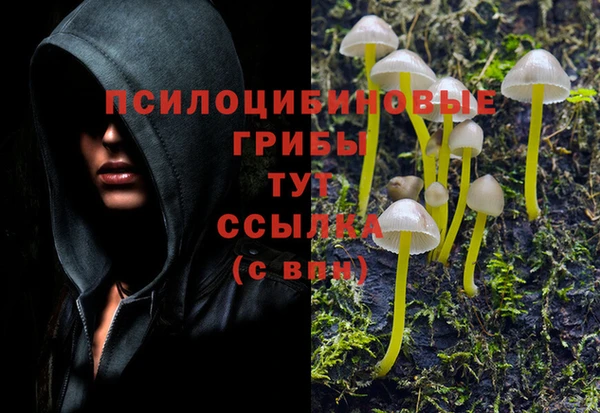 каннабис Богданович