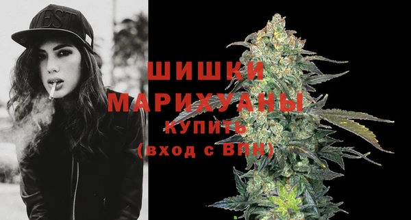2c-b Богородицк